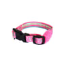 Coleira Cachorro Premium Fun Candy Pp