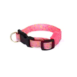 Coleira Cachorro Premium Fun Fiesta Pp