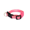 Coleira Cachorro Premium Fun Fiesta Pp