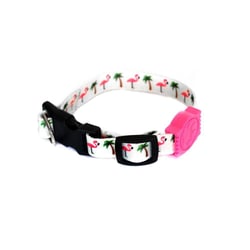 Coleira Cachorro Premium Fun Flamingo Beach G