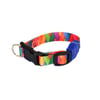 Coleira Cachorro Premium Fun Madagascar Pp