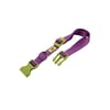 Coleira Club Colours Ferplast 56Cm Roxa Para Cachorros