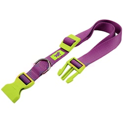 Coleira Ferplast Club Colours Roxo Para Cães - 1 Unidade