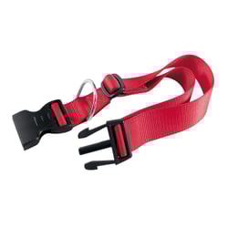 Coleira Ferplast Club Vermelho 44Cm Para Cachorros