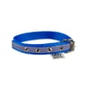 Coleira Griff Dog Azul Tamanho 2 Para Cachorros