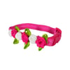 Coleira Griff Dog Frufru Para Gatos - 1 Unidade