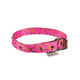 Coleira Griff Dog Poliéster Rosa Tamanho 3 Para Cães - Tamanho 3
