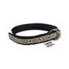 Coleira Griff Dog Tamanho 1 Para Cachorros - Cores Sortidas