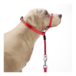 Coleira K9 Spirit Cabresto Para Cães - 1 Unidade - Tamanho M
