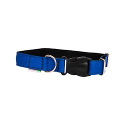 Coleira Modernpet Azul Para Cães - 1 Unidade - Tamanho M
