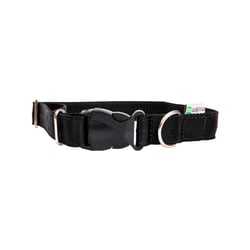 Coleira Modernpet Preta Para Cães - 1 Unidade - Tamanho P