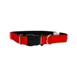 Coleira Modernpet Vermelha Para Cães - 1 Unidade - Tamanho M