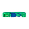 Coleira Neopro Zee.Dog Apex Para Cachorros