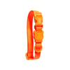 Coleira Neopro Zee.Dog Tangerine Laranja Para Cães - 1 Unidade - Tamanho G
