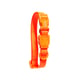 Coleira Neopro Zee.Dog Tangerine Laranja Para Cães - 1 Unidade - Tamanho G - Tamanho G