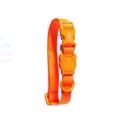 Coleira Neopro Zee.Dog Tangerine Para Cães - Laranja - Tamanho P