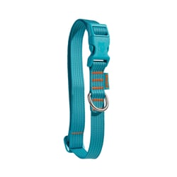 Coleira Petz Flúor Blue Para Cães - 1 Unidade - Tamanho PP
