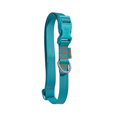 Coleira Petz Flúor Blue Tamanho P Para Cães
