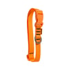 Coleira Petz Flúor Orange Para Cães - 1 Unidade - Tamanho PP