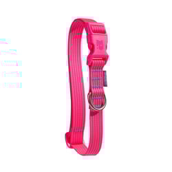 Coleira Petz Flúor Pink Para Cães - 1 Unidade - Tamanho PP