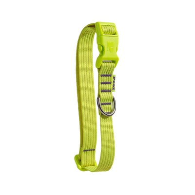 Coleira Petz Flúor Yellow - Tamanho P Para Cachorros