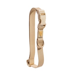 Coleira Petz Naked Golden Para Cachorros