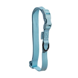Coleira Petz Pastel Aqua Para Cães - 1 Unidade - Tamanho PP