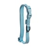 Coleira Petz Pastel Aqua Para Cães - 1 Unidade - Tamanho PP