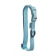 Coleira Petz Pastel Aqua Tamanho P Para Cachorros - Tamanho P