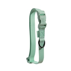 Coleira Petz Pastel Mint Para Cães - 1 Unidade - Tamanho PP