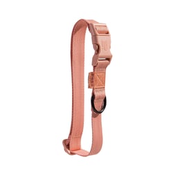 Coleira Petz Pastel Salmon Para Cães - 1 Unidade - Tamanho PP