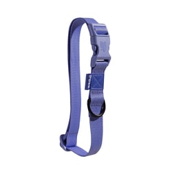 Coleira Petz Pastel Violet Para Cães - 1 Unidade - Tamanho PP