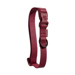Coleira Petz Waterproof Bordeaux Para Cães - 1 Unidade - Tamanho PP