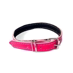 Coleira São Benedito Couro Forrado Rosa Tamanho 2 Para Cães