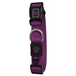 Coleira Signature Doco Para Cães P - Nylon Roxa