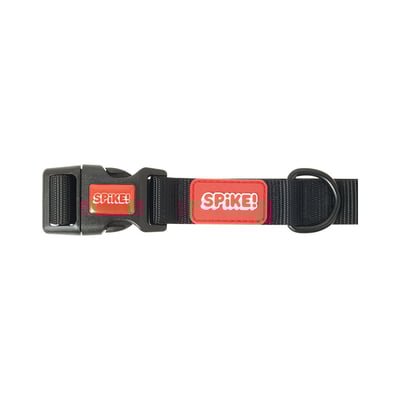 Coleira Spike Black Tamanho P Para Cachorros