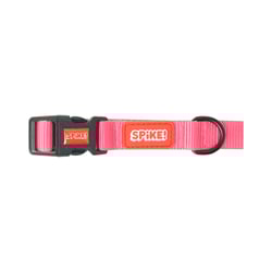 Coleira Spike Pink Para Cães - 1 Unidade