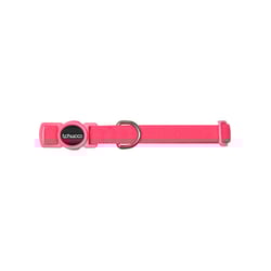 Coleira Tchucoo Cat Fluor Rosa Para Gatos