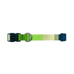 Coleira Tchucoo Eco Para Cachorros - Tamanho P