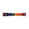 Coleira Tchucoo Sunny Para Cachorros - Tamanho M
