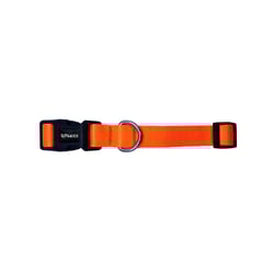 Coleira Tchucoo Tangerine Para Cães - Tamanho M