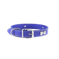 Coleira The Pets Com Osso Colors Para Cães Grandes - 1 Unidade