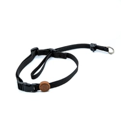 Coleira Toh Cabresto Black Para Cães - 1 Unidade - Tamanho P