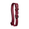 Coleira Waterproof Petz Bordeaux Para Cães Tamanho P