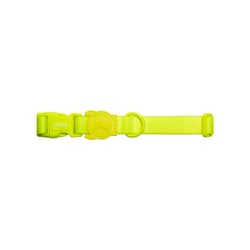 Coleira Zee.Dog Neopro Lime Para Cães - 1 Unidade - Tamanho P