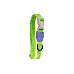 Coleira Zee.Dog Nox Lumen Tamanho Pp Para Cachorros