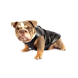 Colete Bichinho Chic Preto Nº 06 Para Cachorros