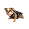 Colete Bichinho Chic Preto Nº 06 Para Cachorros