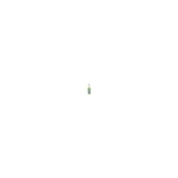 Colonia Dog Way Filhotes 120Ml Perfume Para Cachorro E Gato