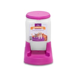 Comedouro Automático Prático Alvorada Para Cães E Gatos 3L - 1 Unidade Rosa
